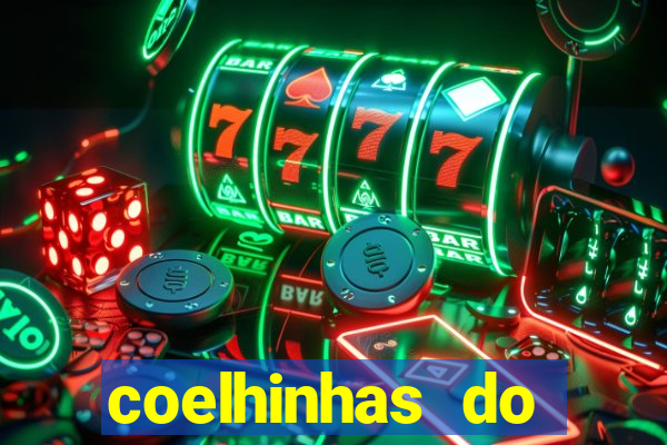 coelhinhas do brasil site